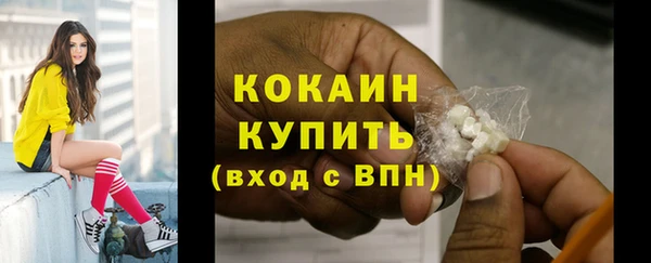 spice Бородино