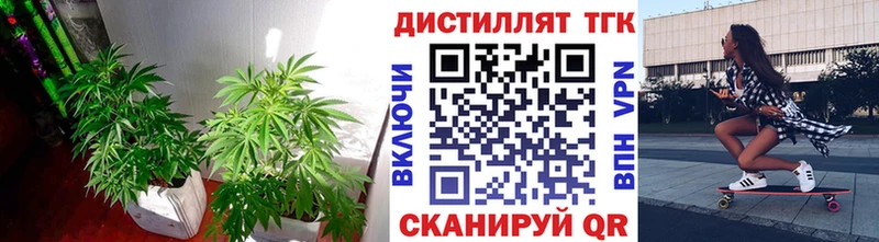 ТГК THC oil  купить закладку  Тосно 